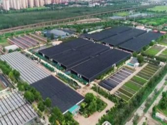 Tianjin Landscape Flower Demonstration Center/Flower Planting/Venlo PC Board Greenhouse