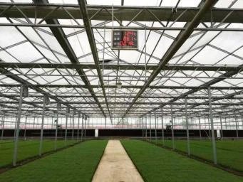 Kaidi Agricultural Group/Rice Seedling Cultivation/Venlo Glass Greenhouse