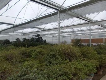 Tianjin Lanxiu Horticultural Base/Flower Planting/Multi span Thin Film Greenhouse