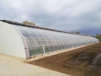 Da Ai Cheng Ecological Farm/Organic Vegetable energy-saving solar greenhouse