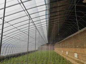 Shounong Ecological Planting Base/Organic Vegetable energy-saving solar greenhouse